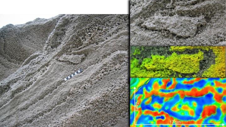 Neandertal insanına ait olduğu düşünülen 29 bin yıllık ayak izleri keşfedildi