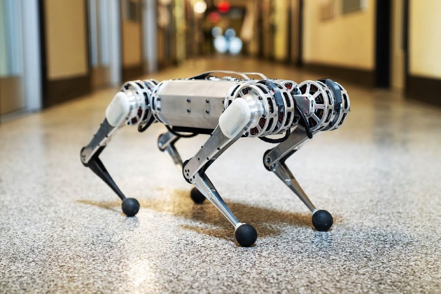 MIT'nin yeni robotu ters takla atabiliyor