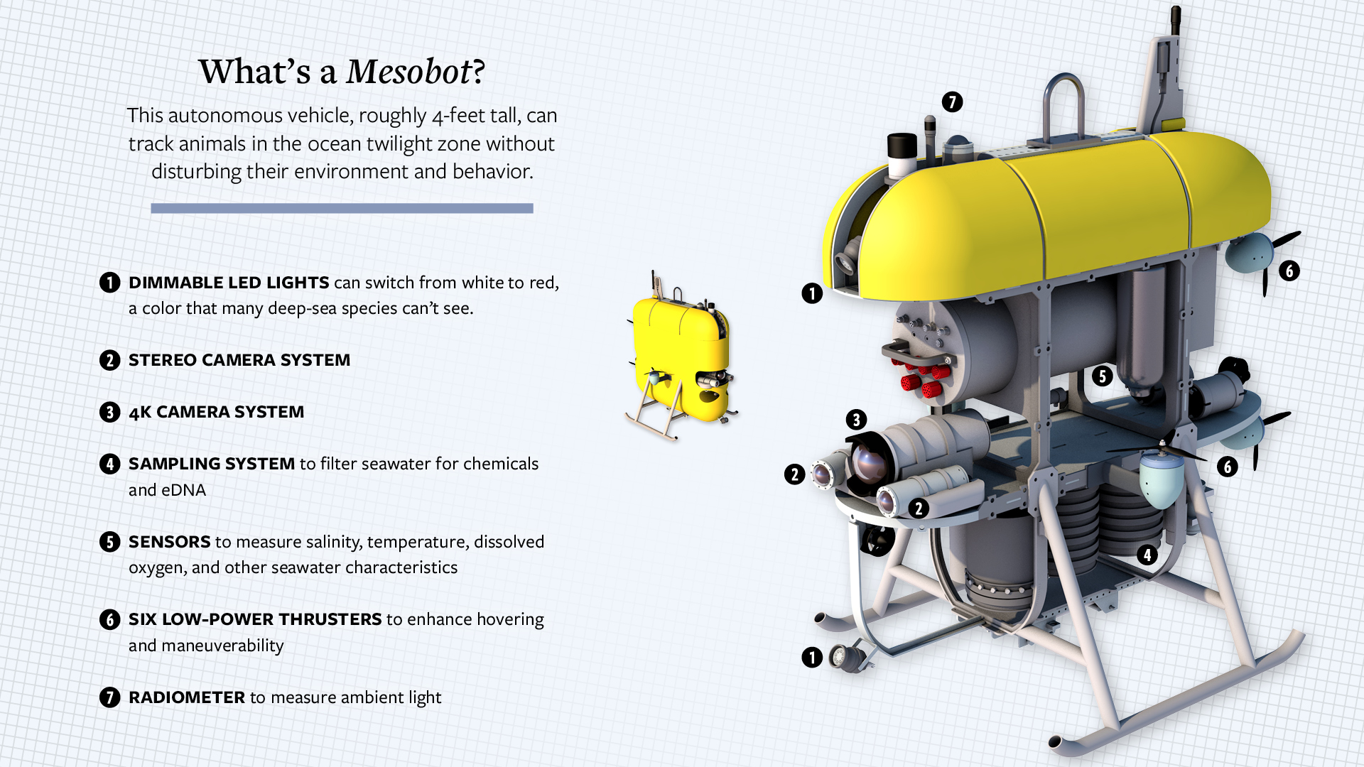 Balıkları korkutmadan fotoğraf çekebilen deniz robotu