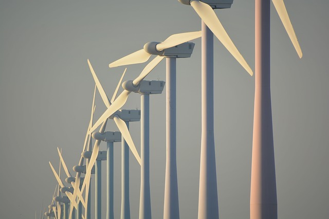 Suudi Arabistan, bölgenin en büyük rüzgâr enerjisi pazarı olma yolunda hızla ilerliyor