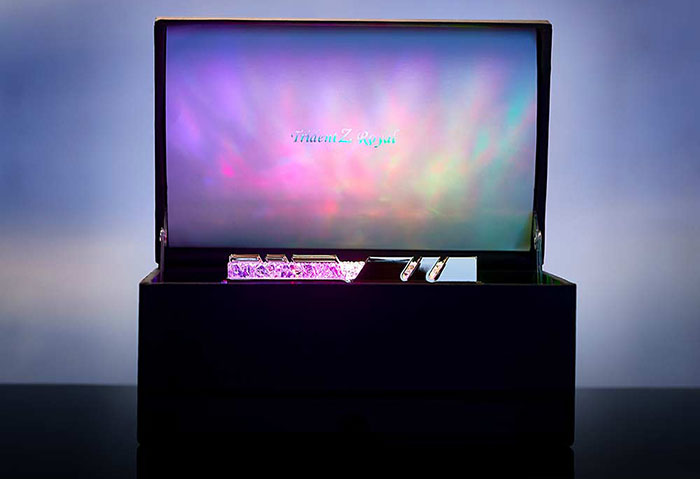 RGB bellekleri için G.Skill özel bir saklama kutusu hazırladı