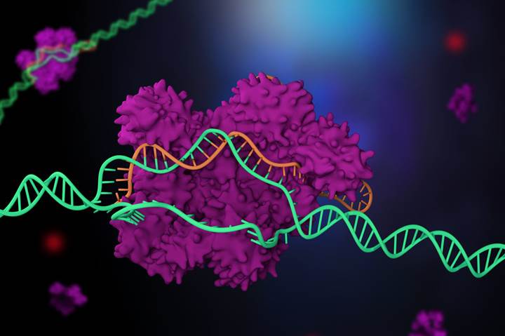 ABD, CRISPR usulünü resmi olarak beşerler üzerinde kullanmaya başladı