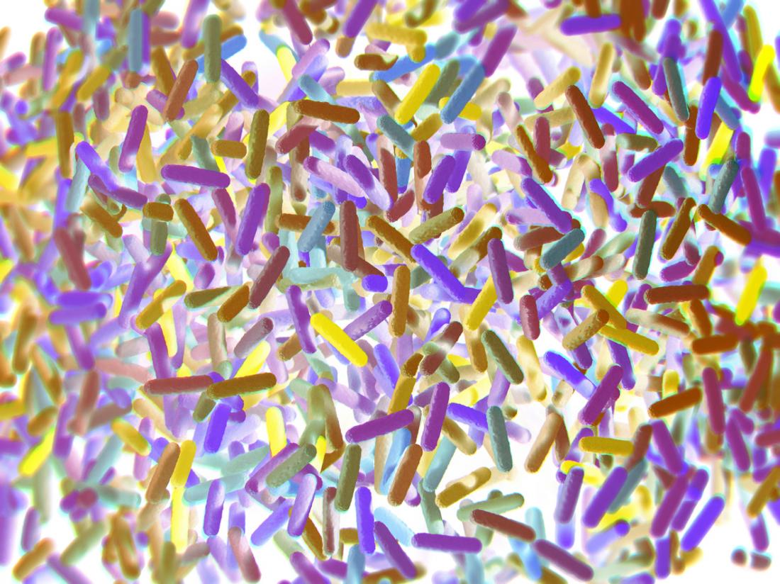 Bağırsak bakterileri ilaç testlerinde kullanılıyor