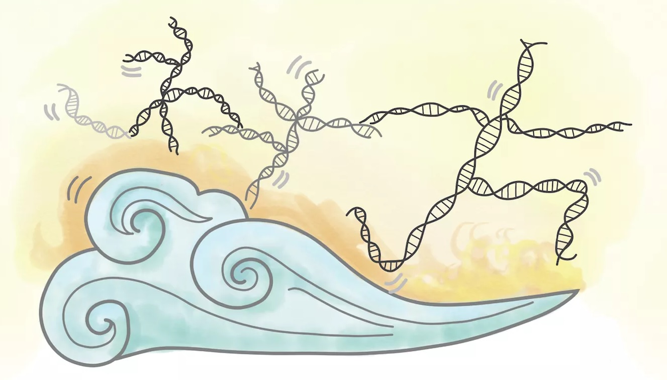 CRISPR yöntemi transpozonlar ile geliştiriliyor