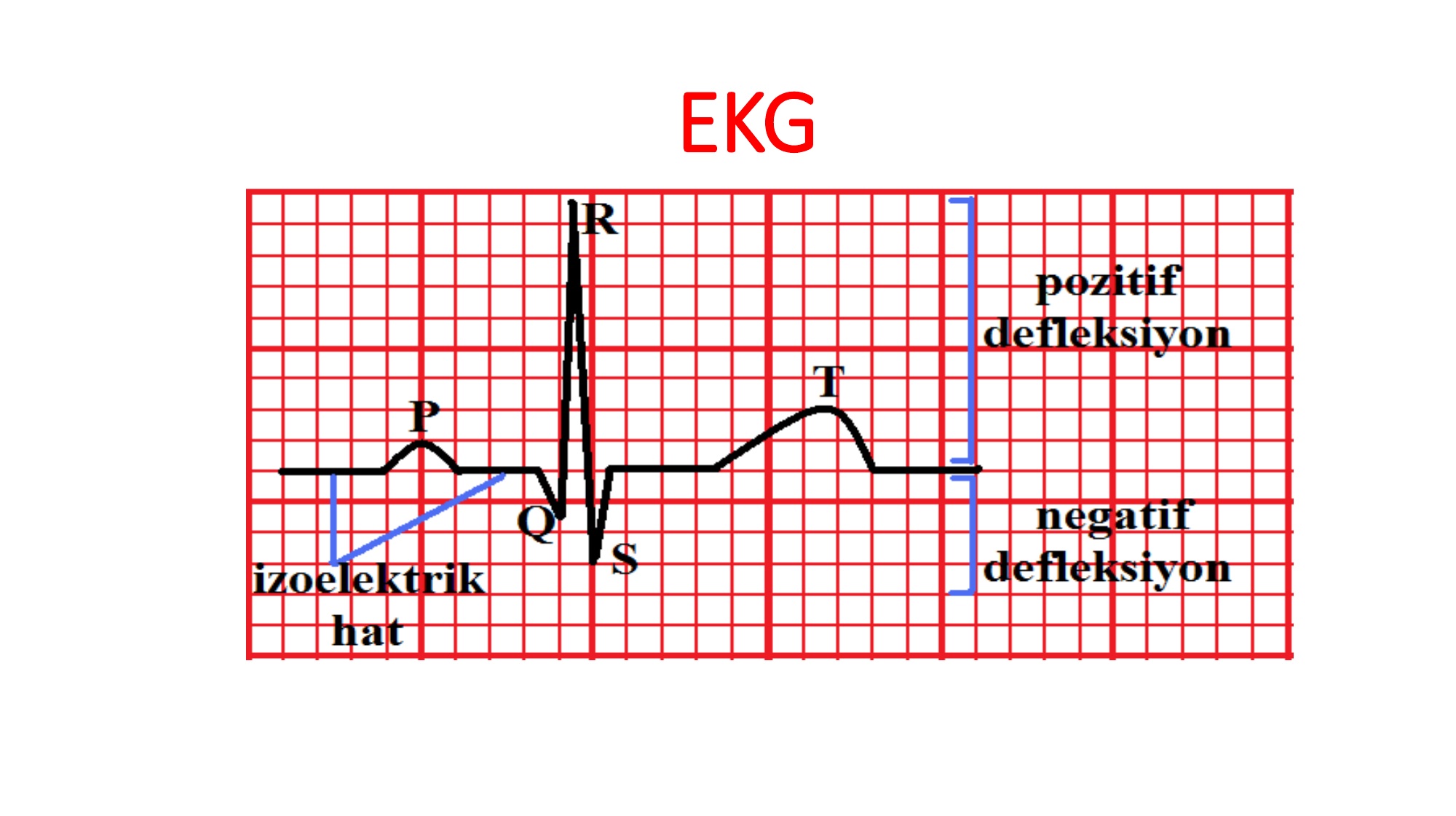 Yeni implant elektrik akımından yararlanarak kalp dokusunu iyileştiriyor