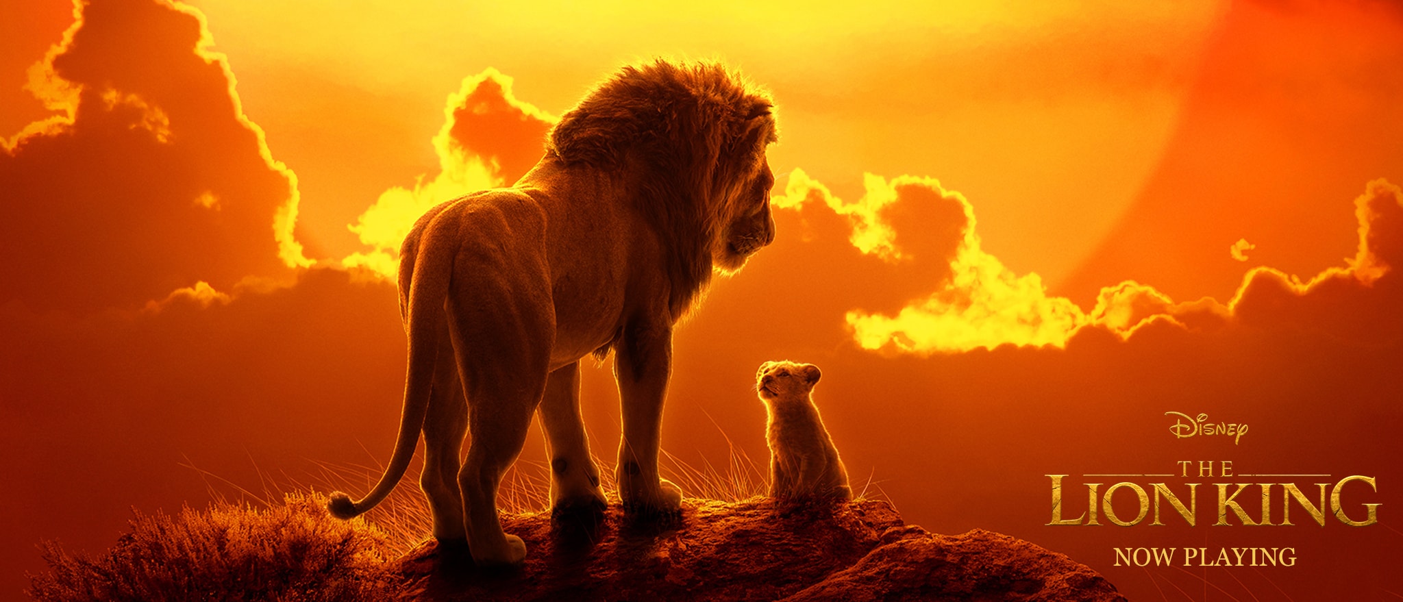 The Lion King, gişedeki macerasına rekorlarla başladı
