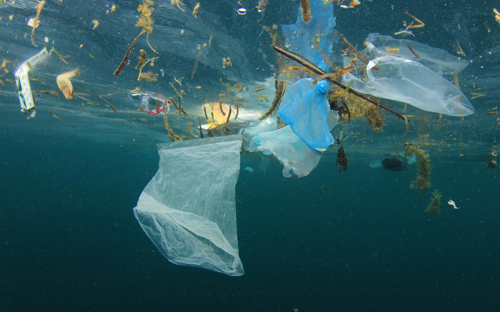Tek kullanımlık plastiklerin yasaklanması TBMM gündeminde