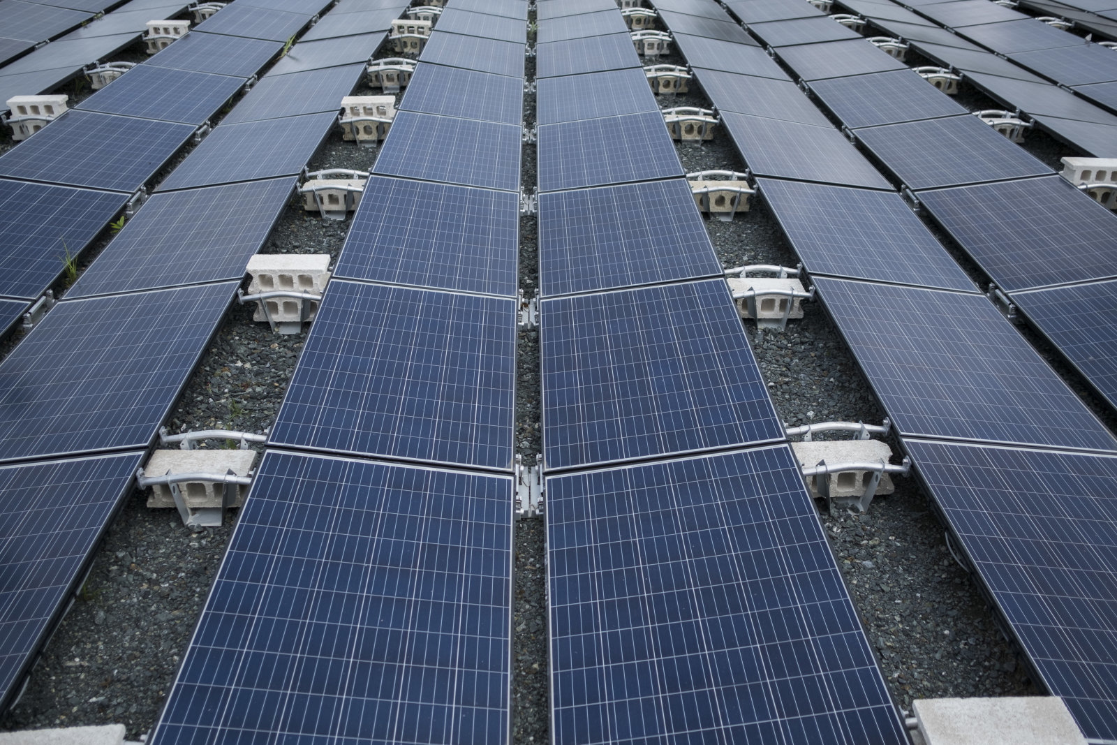 Güneş enerjisi panelleri alev alan Walmart, Tesla'yı dava etti