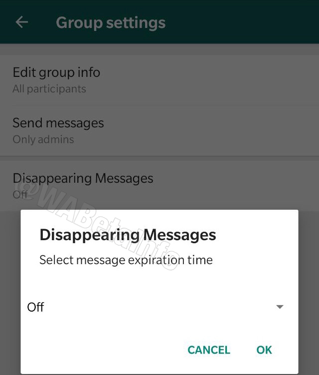 WhatsApp uygulamasına kendini imha eden mesaj özelliği geliyor