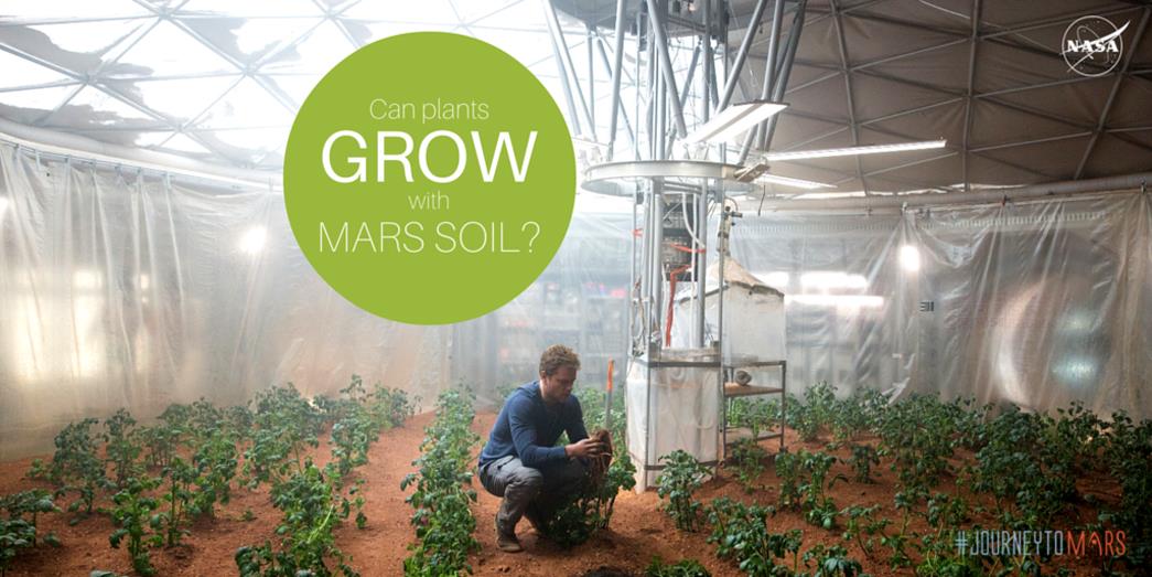 Bilim insanları, yapay Mars ve Ay toprağında sebze yetiştirdi