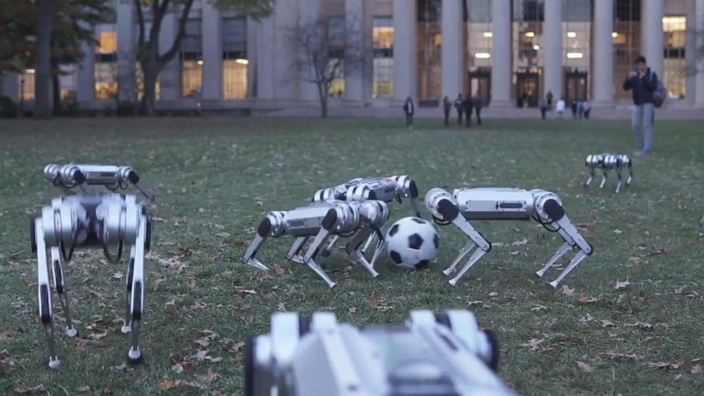 Mini Cheetah robotlarının eğlenirken görüntülendiği yeni bir video yayınladı