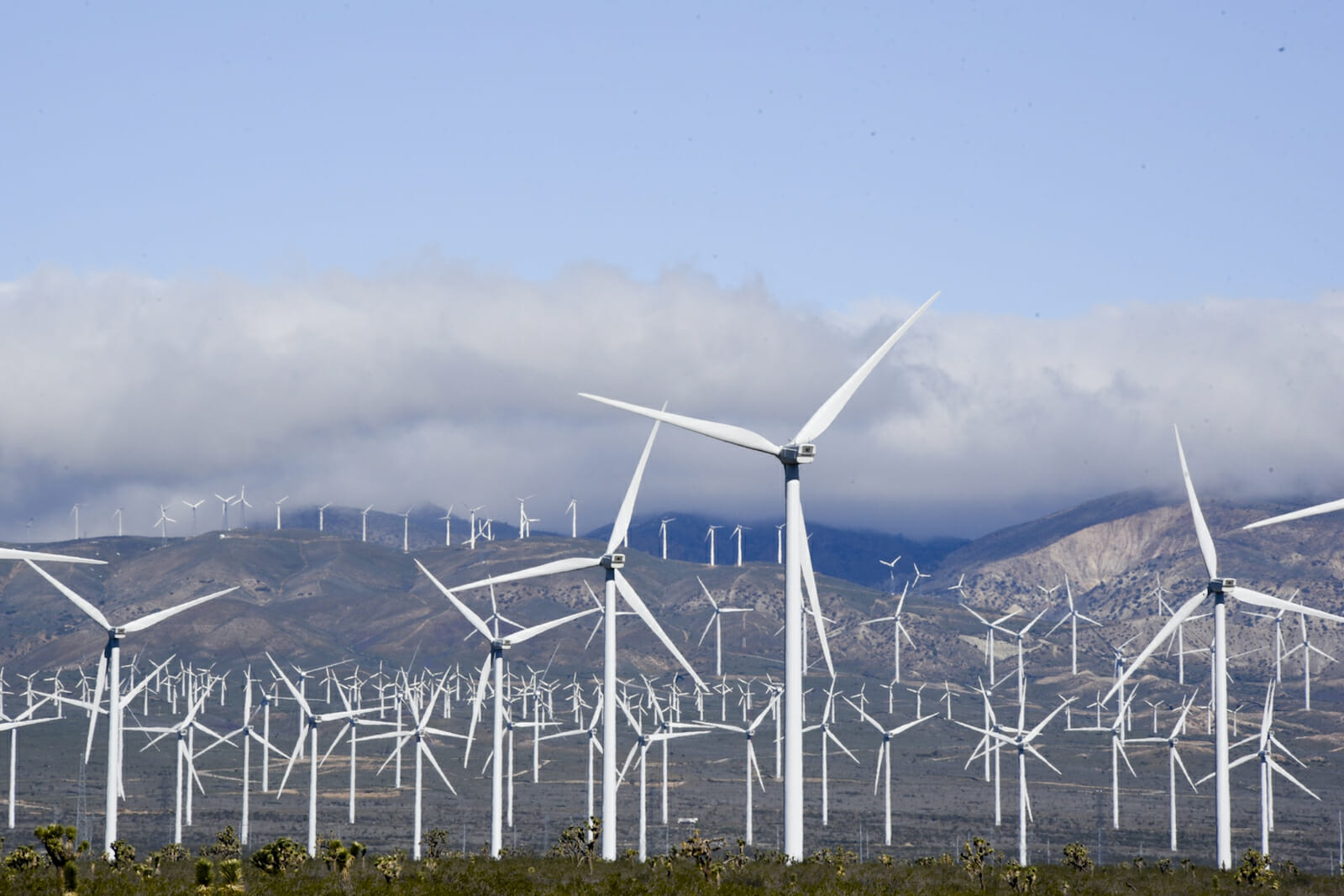Küresel ısınmayla birlikte artan rüzgâr hızları, enerji üretimine katkı sağlıyor olabilir