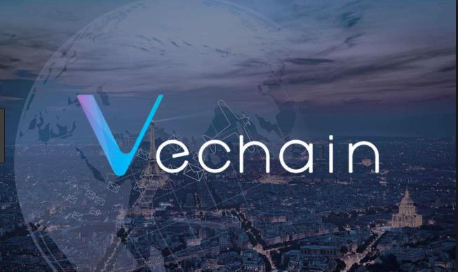 VeChain Vakfı'nda 6,5 milyon dolarlık hack vakası