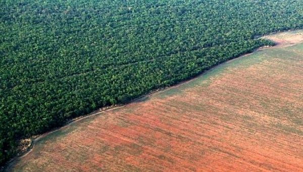 Amazon’un ormanlardan yoksun bırakılmış bölgeleri, depoladığından daha çok CO2 salıyor