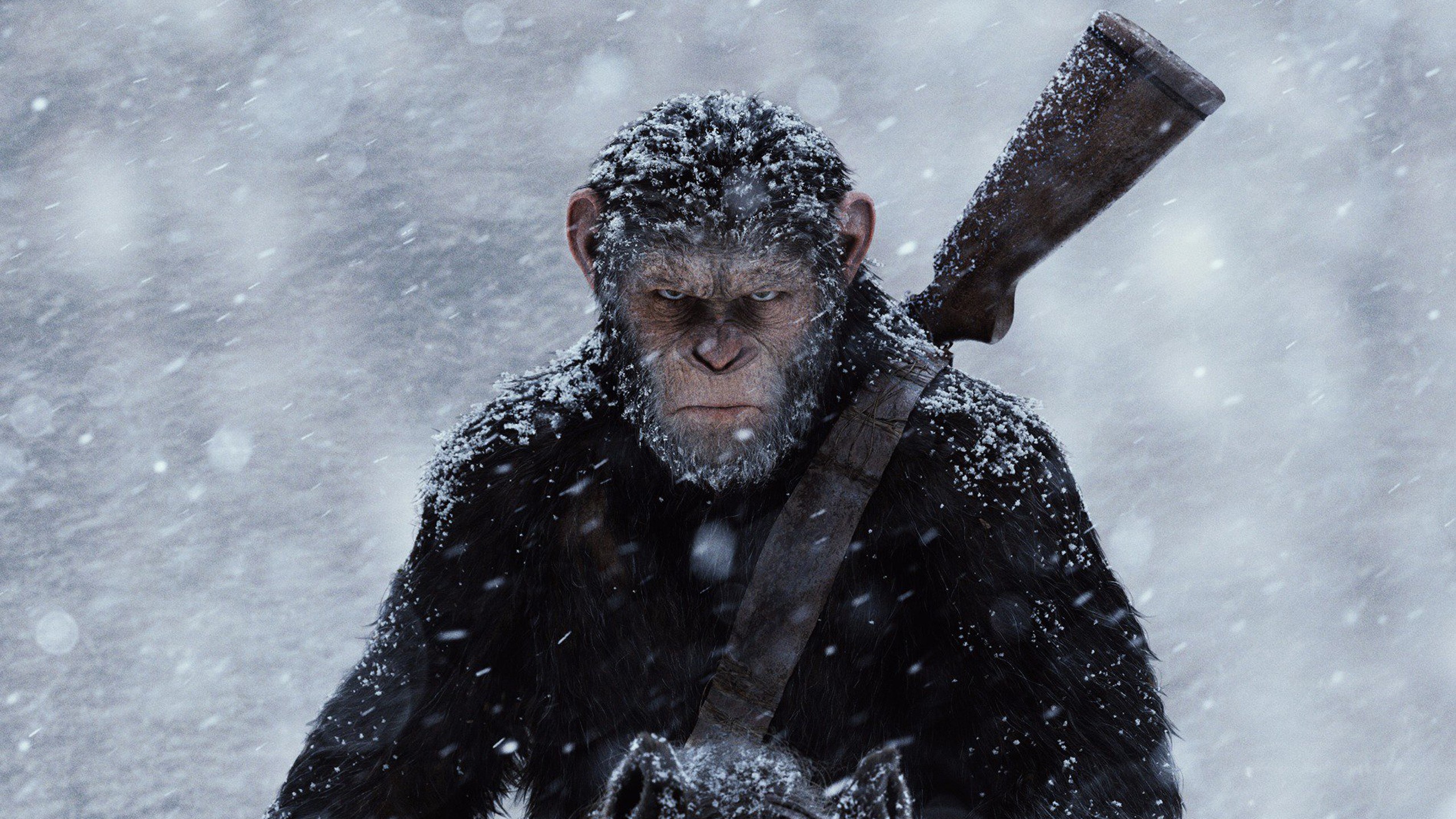Disney'in yeni Planet of the Apes serisi devam niteliğinde olacak