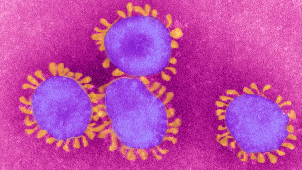 Kızılay koronavirüs tedavisine başlıyor