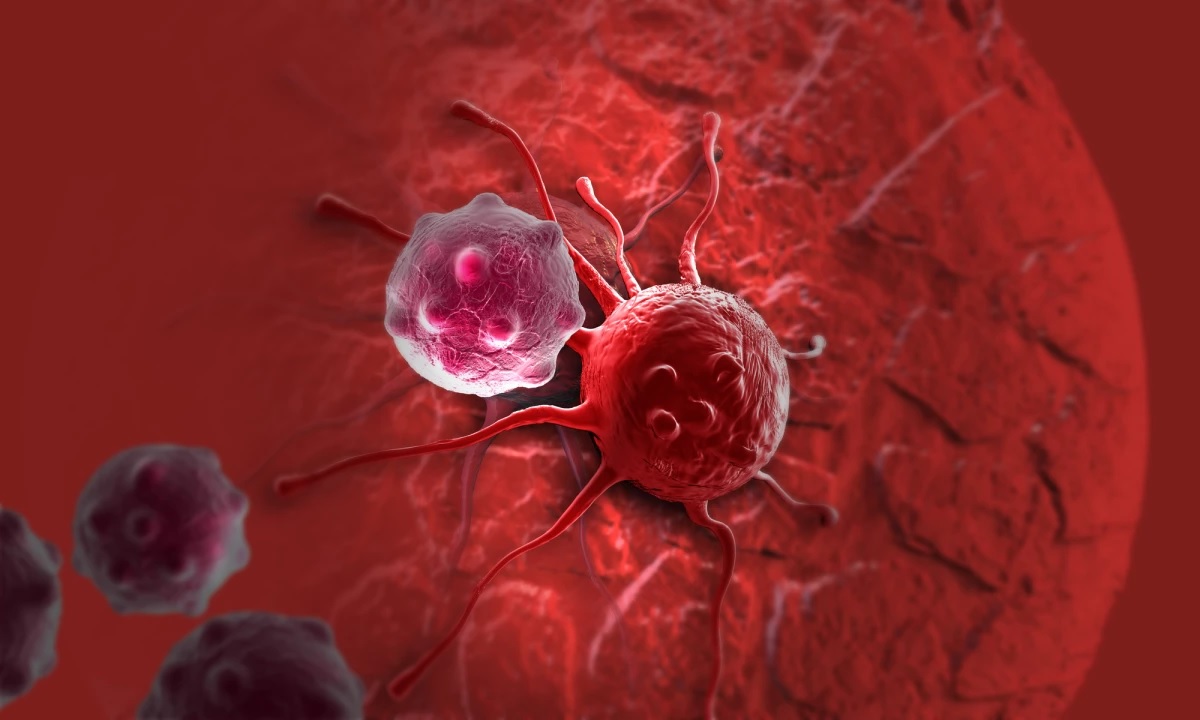 Ferroptosis basamaklarında görev alan 2 yeni molekül keşfedildi