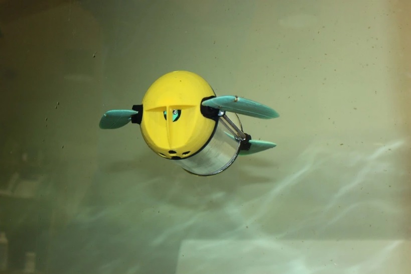 Akıllı robot su kaplumbağası akvaryumları gözetlemek için kullanıldı