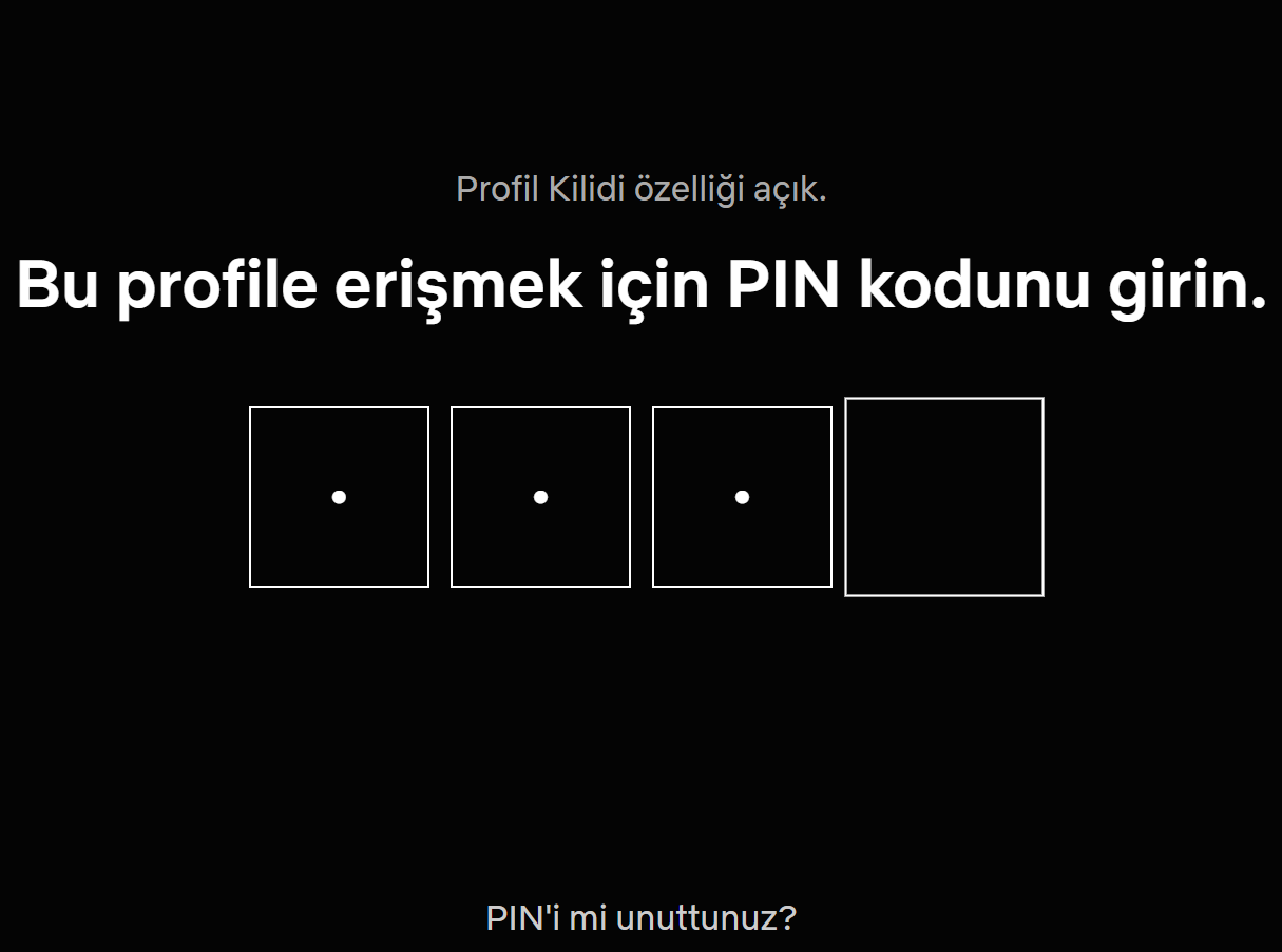 Netflix’e ebeveyn denetimi geldi: PIN kodu dönemi başladı