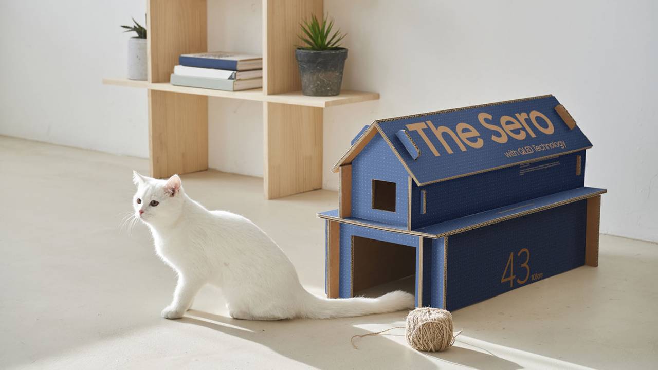 Samsung televizyon kutuları kedi evine dönüşüyor