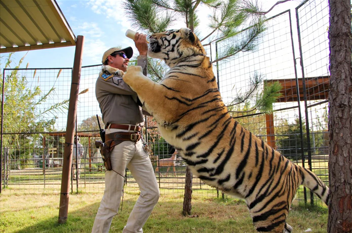 Netflix'in yeni dizisi 'Tiger King' izlenme rekorları kırdı