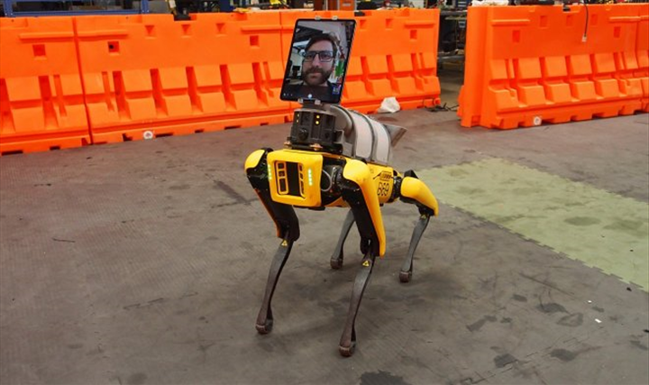 Boston Dynamics'in robot köpeği Spot, doktorları COVID-19'dan koruyor