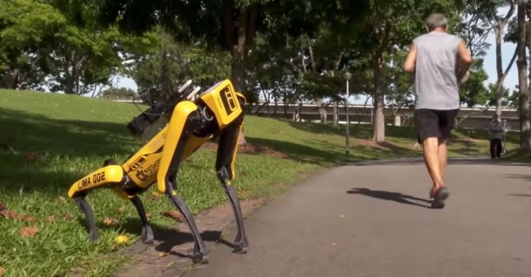 Robot köpek Spot, Singapur’da “sosyal mesafeyi koruyun” uyarısı yapmak için kullanılıyor