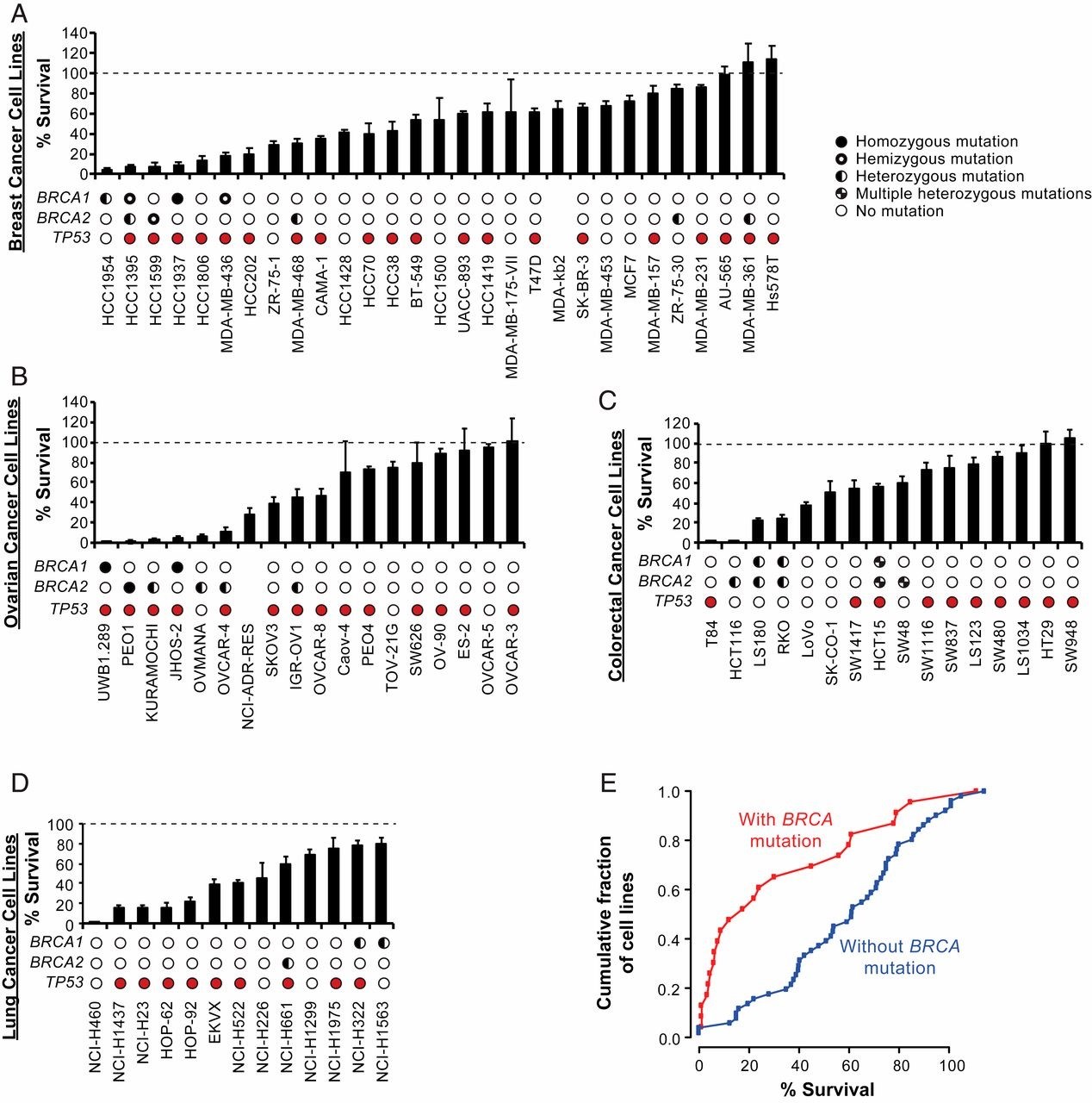 FEN 1 gen inhibisyonu kanser tedavilerinde kullanılabilir