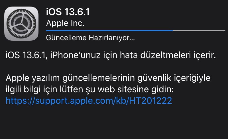 Yeşil ekran problemini gideren iOS 13.6.1 güncellemesi çıktı