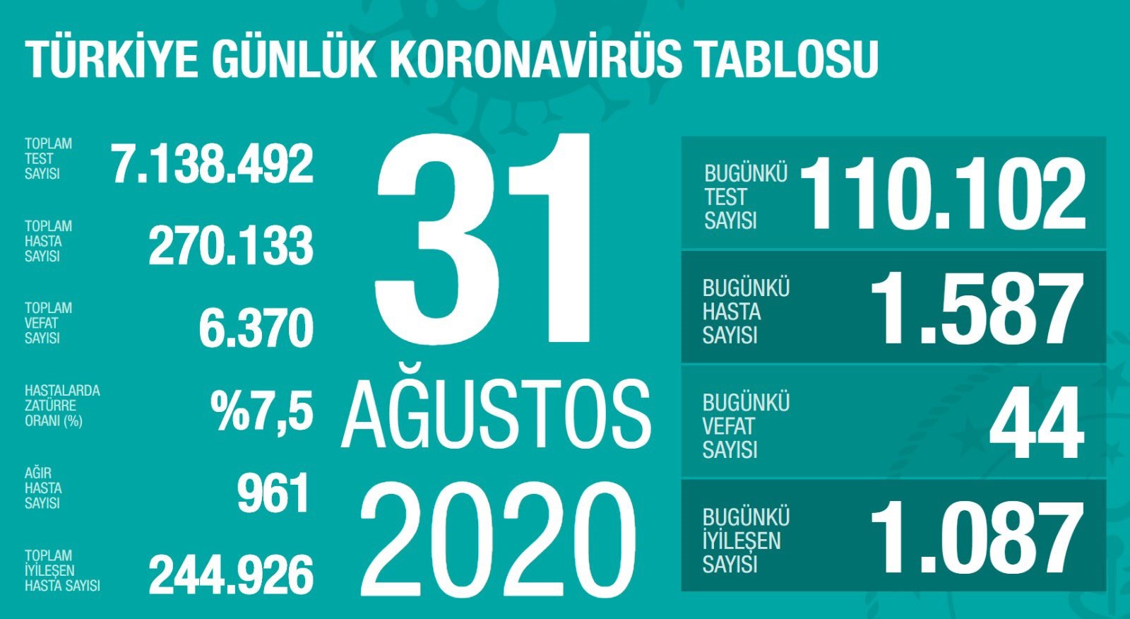 Yeni vefat sayısında korkutucu yükseliş sürüyor (31 Ağustos)