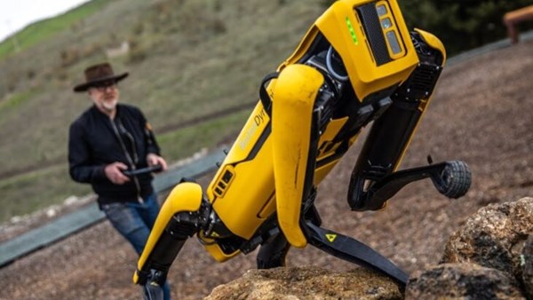 Robot Kopek Spot Sokakta Tek Basina Goruntulendi Aciklama Gecikmedi