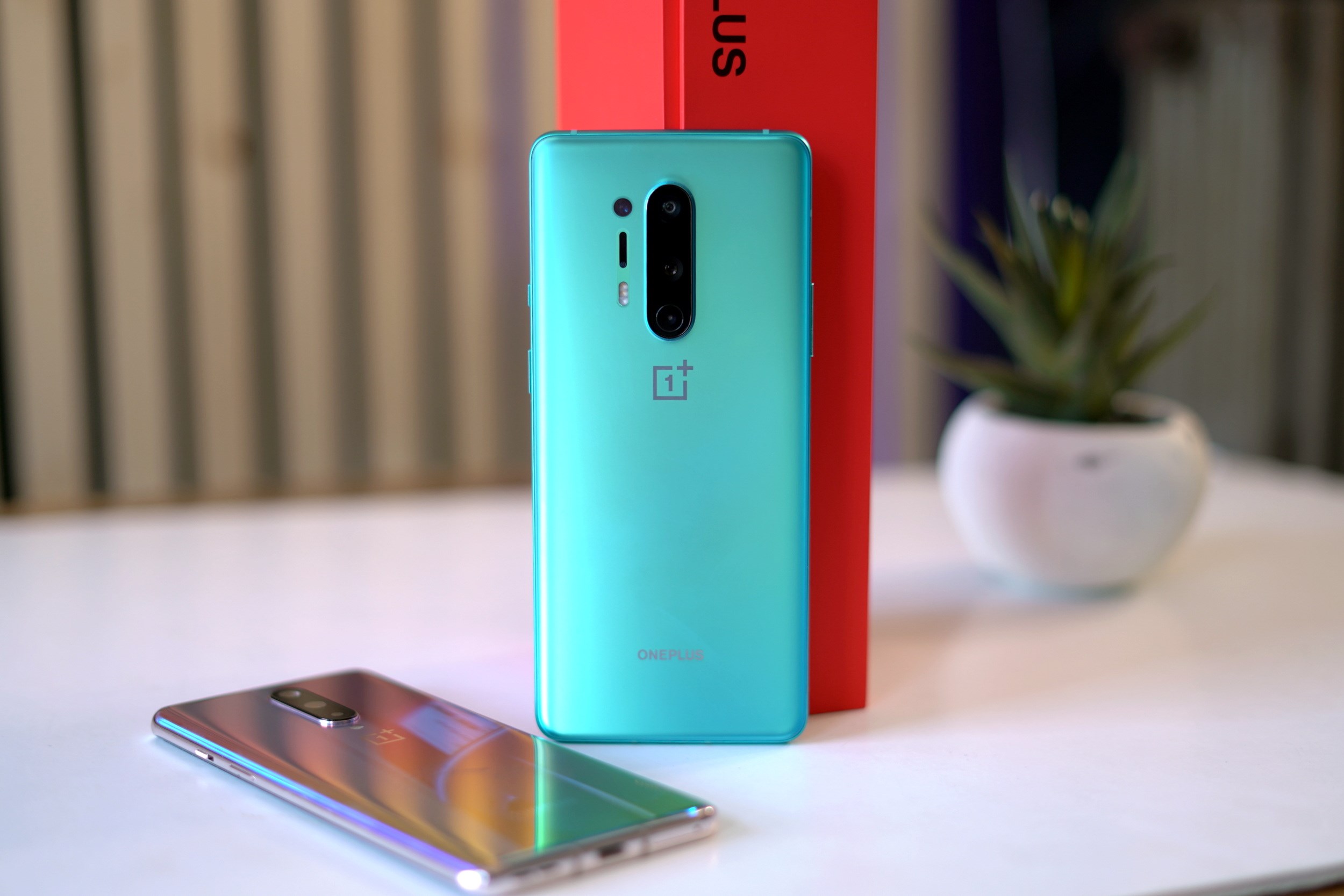 OnePlus 9 serisinde üç model olacak