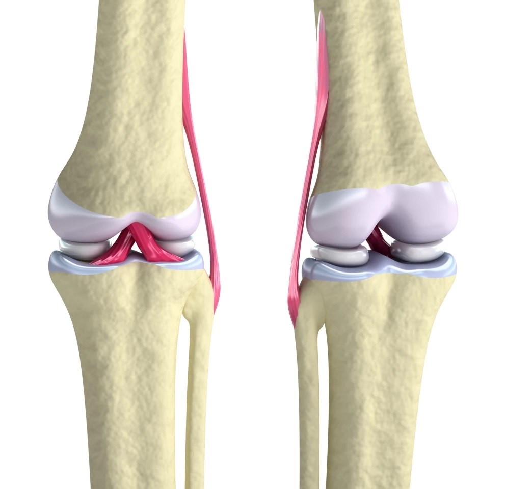 Kartilaj dokusunun rejenerasyonunu sağlayan implant geliştirildi