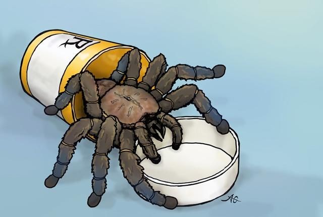 Yakın gelecekte tarantula zehri kronik ağrı tedavisinde kullanılabilir