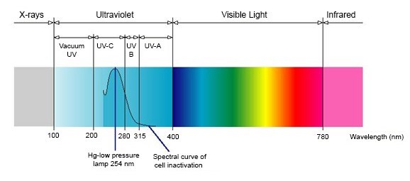 Ultraviyole (UV) ışınlarının virüs ve bakteriler üzerine etkisi