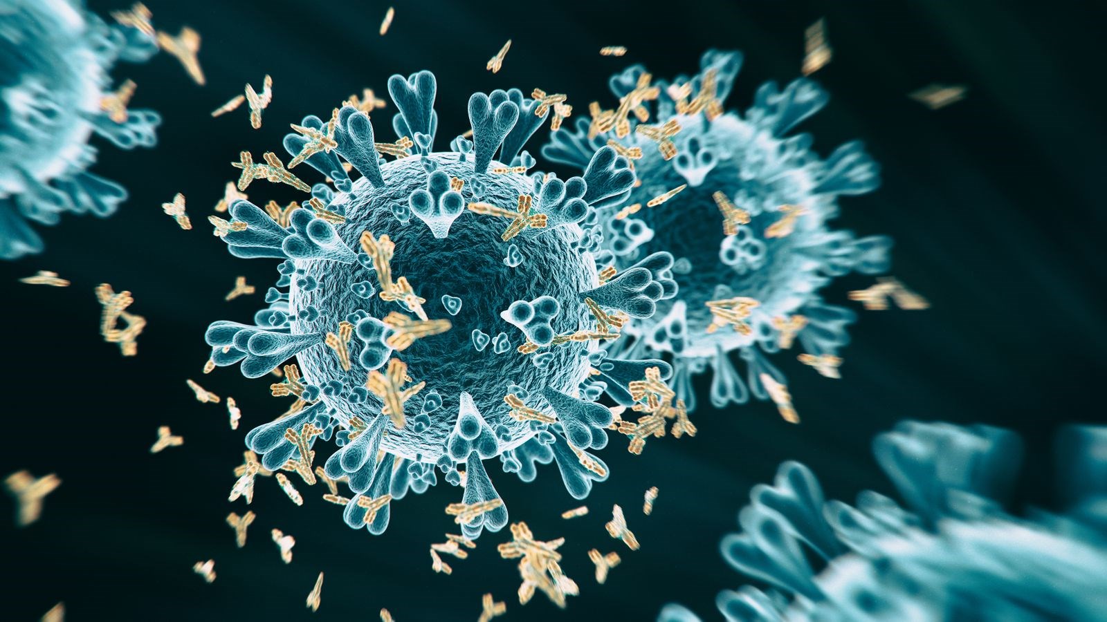 Koronavirüsü atlatanlar ne kadar süreliğine bağışıklılık kazanıyor?