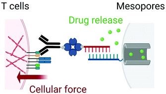 İmmünoterapi uygulamalarında T hücrelerine destek olabilecek antineoplastik ilaç mekanizması geliştirildi