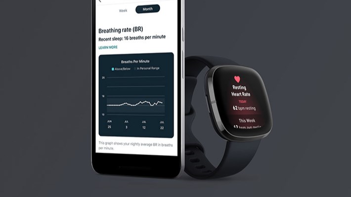 Fitbit ekg 2025