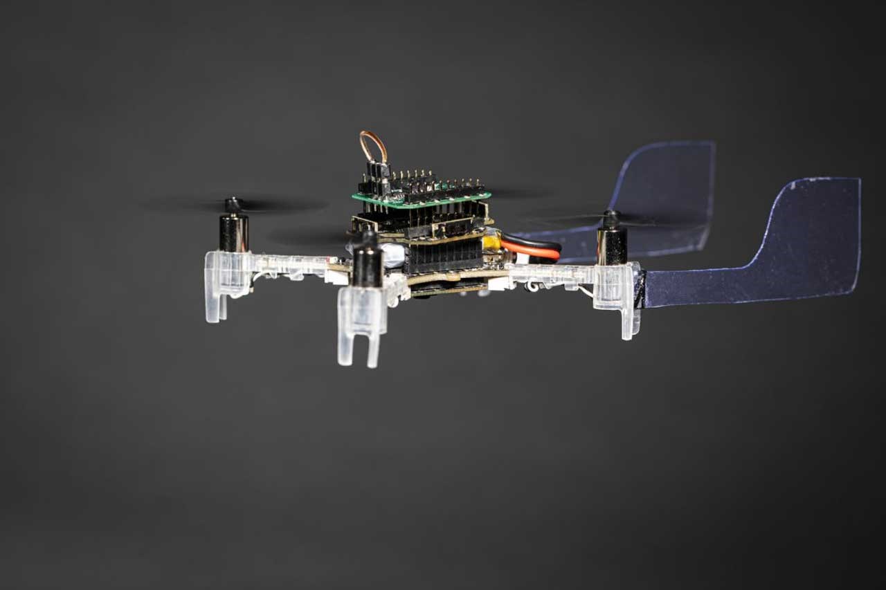 Smellicopter canlı güve antenleri ile tespit yapıyor