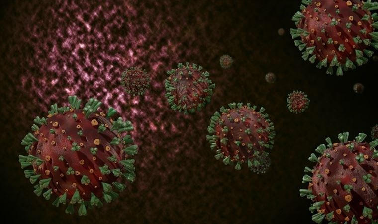 Mutasyon gözlenen varyant koronavirüsün yeni adı belli oldu
