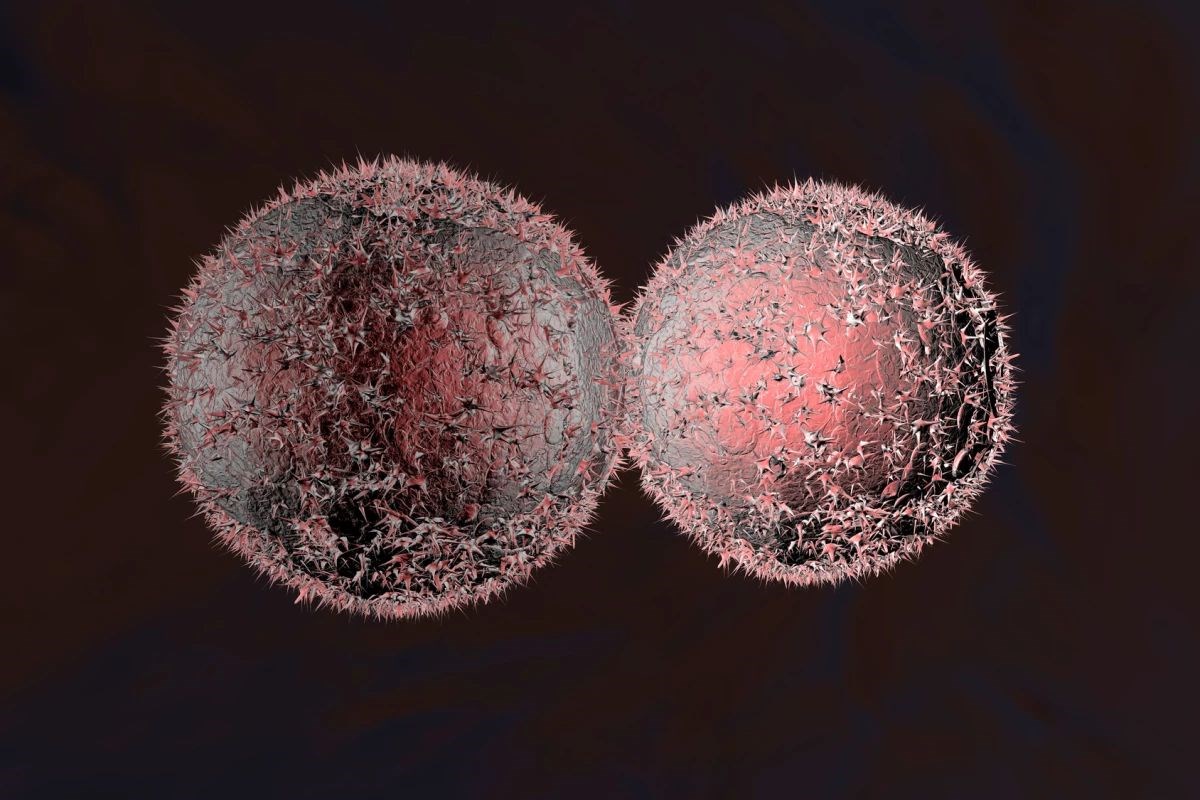 Kanser hücrelerine spesifik ilaç taşıyan nano parçacıklar geliştirildi