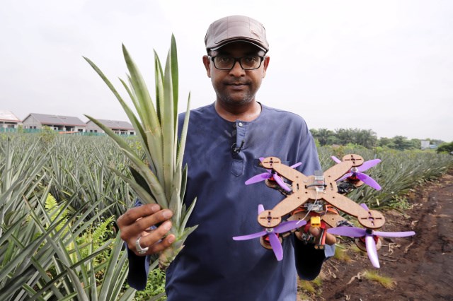 Avokado yaprakları Drone bileşenlerine dönüşüyor