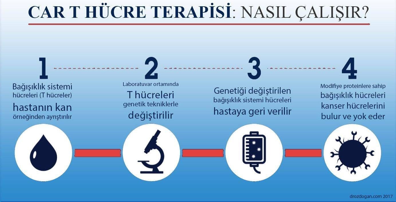 T hücre immünoterapisi üzerinde çalışmalar yapıldı