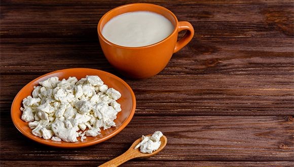 Bilim insanları mayalardan yararlanarak süt ve süt proteinleri üretmenin yollarını arıyor