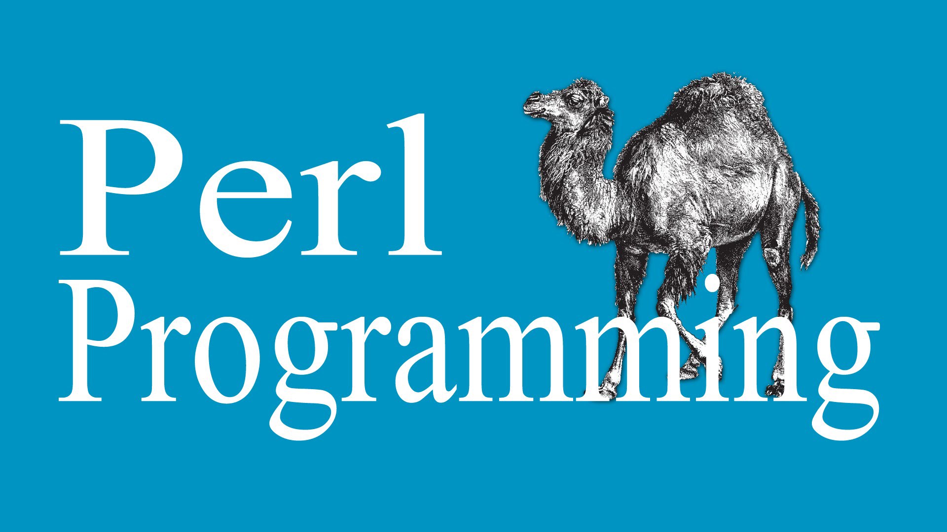 Perl.com alan adı hacklendi: 190 bin dolara satılık