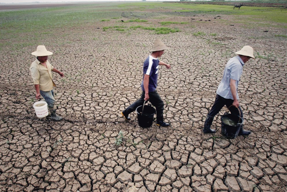 Küresel çip krizini hafifletecek 'erik yağmurları' geliyor