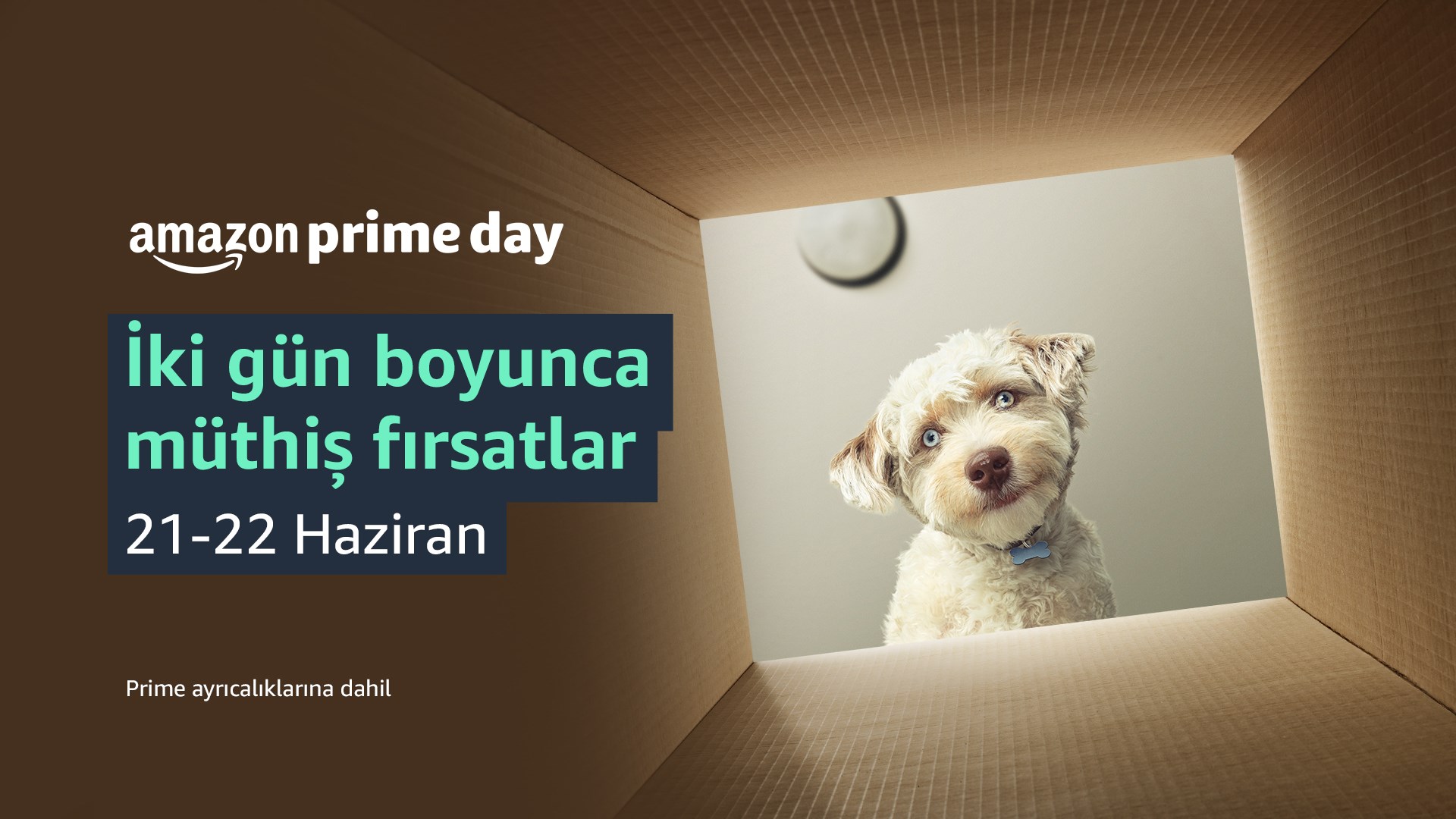 Amazon Prime Day 21 ikinci gün fırsatları