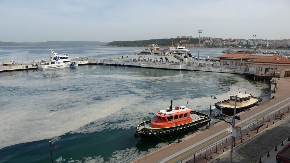 Müsilajın çözümü midyeden geçiyor