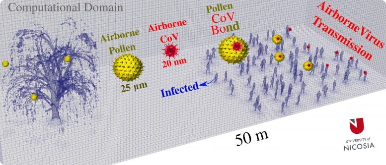 Polen mevsiminde Covid-19 yayılımı