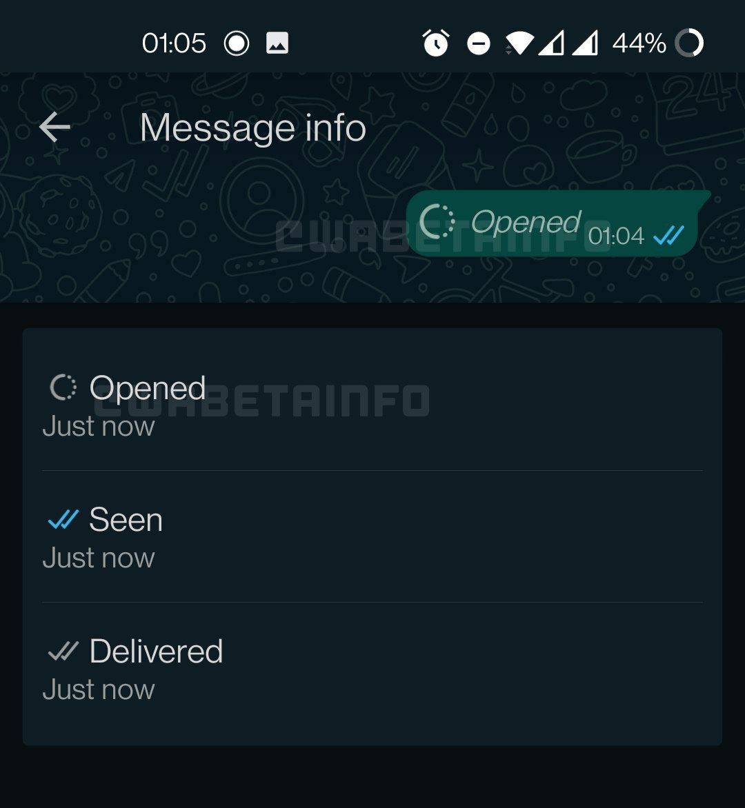WhatsApp'ın yeni özelliği Bir Kez Görüntüle kullanıma sunuldu